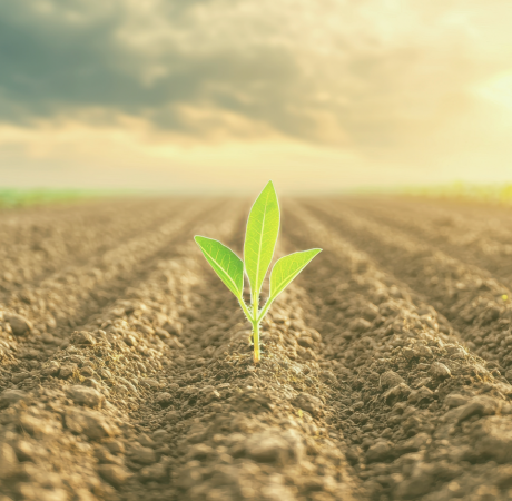 Capture d’écran 2025-05-01 à 14.48.10