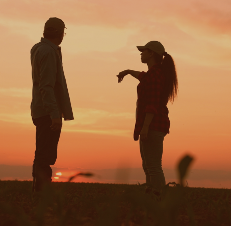 Capture d’écran 2025-05-01 à 14.50.18