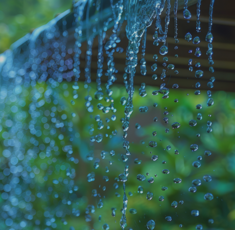 Capture d’écran 2025-05-06 à 13.35.12